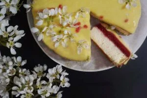LCHF cheesecake z malinami