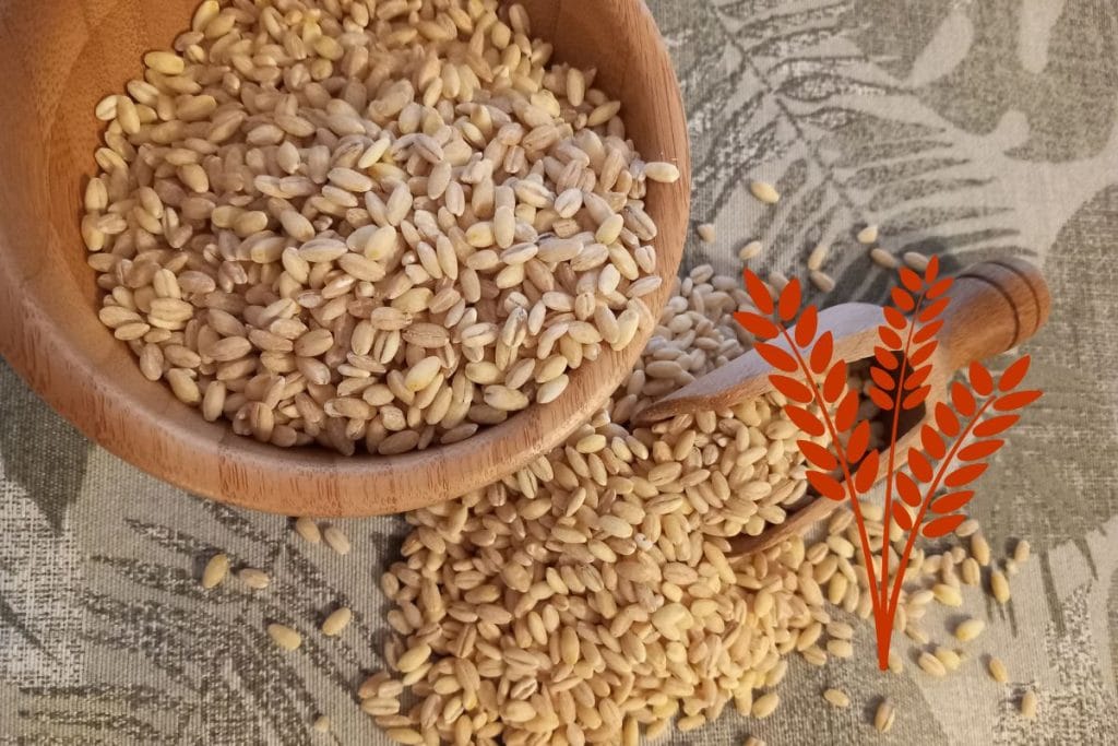 Ješprenj. gluten