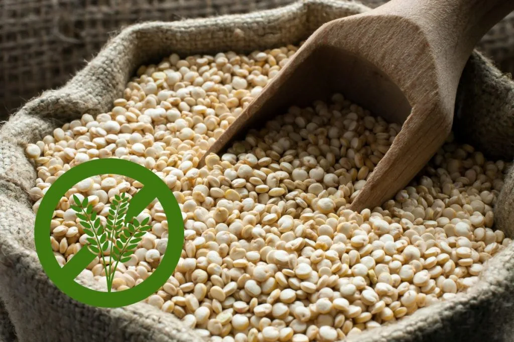 Kvinoja, gluten free
